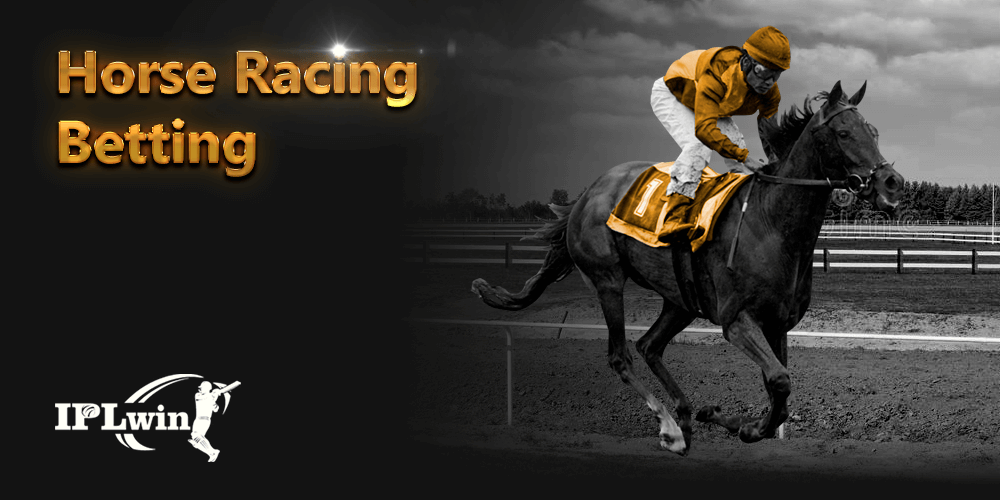 Casino bet365 login