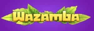 Pokemon blaze online