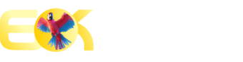365 game - Hsbet
